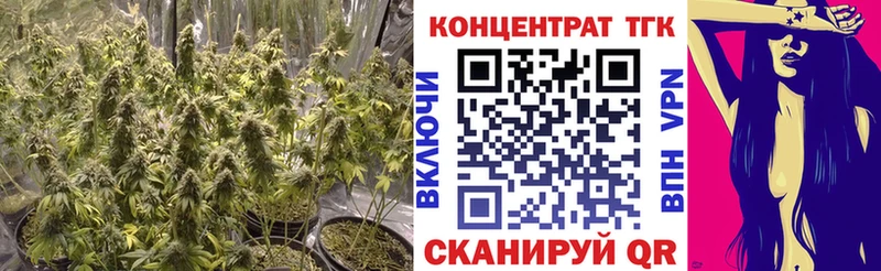 ТГК гашишное масло  OMG ССЫЛКА  Курильск 