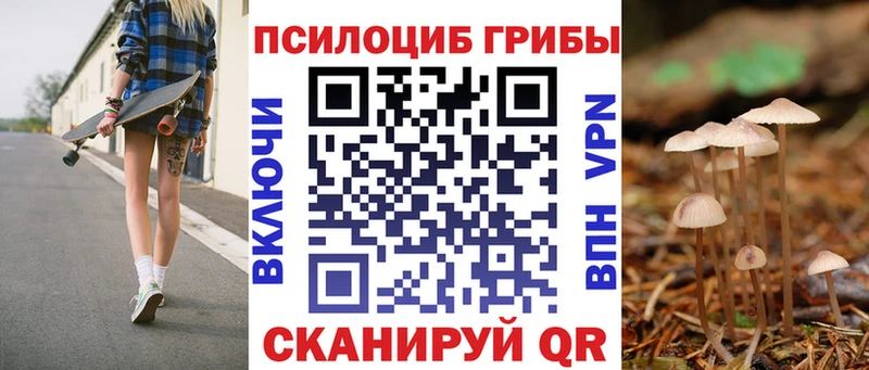 закладки Курильск Псилоцибиновые грибы Psilocybe